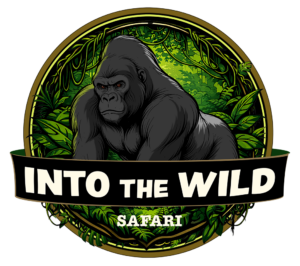 Into the wild safari